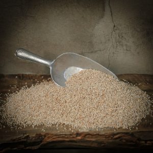 بلغور جو