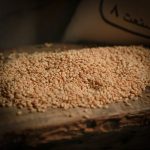 گندم پوست کنده  (بسته 1 کیلویی) - تصویر 2